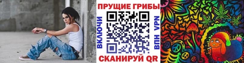 купить наркотики сайты  shop наркотические препараты  Псилоцибиновые грибы GOLDEN TEACHER  Новое Девяткино  кракен tor 